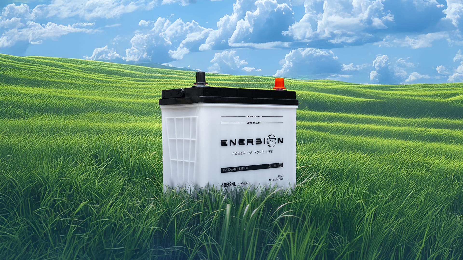 Renewable Energy